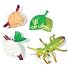 Detailed Oversized Insect Life Stage Sets, in Praying Mantis