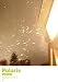 Live at 日比谷野外音楽堂2004/9/25(Special Edition) [DVD]