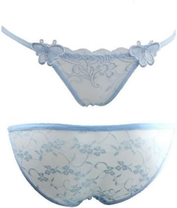Only You Hot Selling Fashion Women's Underwear Ladies Underwear Sexy Lace Transparent Lace Embroidered Butterflies 1201 (free size, blue)