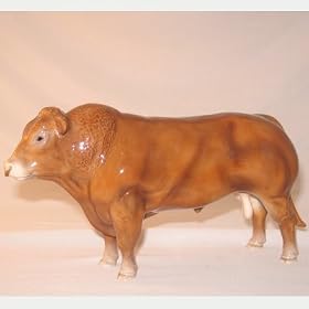 Limousin Bull