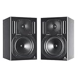 Truth B2030A Studio Monitor(pair)