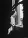 Poet Paul Engle's Daughter Looking Out the Window For Her Father's Book, 
