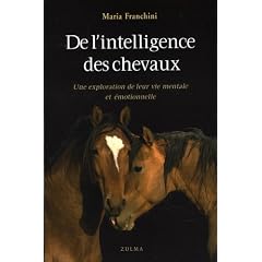 De l'intelligence des chevaux