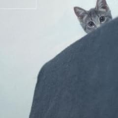 世界から猫が消えたなら