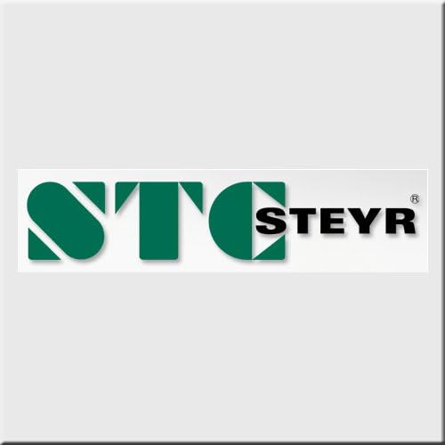 Steyer N204E Cylindrical Roller Bearing