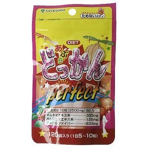 三共堂どっかんパーフェクトダイエット（24日分120粒）