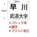 ��N�i�N�T�N���j���������p�_���[�b�P���i�v�����g���H�j30�~25cm �S�V�b�N�� ���� JT63025GOB