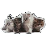 41xFCR1%2B9WL. SL160  LittleGifts Kittens Air Freshener