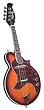 Kentucky Electric Mandolin Model KM-300E