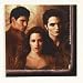 Twilight Beverage Napkins 16ct