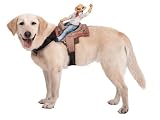 Dog Riders Cowboy Pet Costume