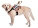 Dog Riders Cowboy Costume Adult (One-Size)
