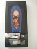 Tech Deck Collector Series Street Creep Santa Cruz 1989 Jim Phillips