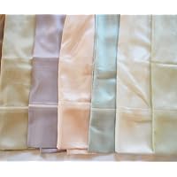 Silk Charmeuse Pillowcase with ivory insert - Standard