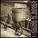 Chinese Democracy (Ogv) [12 inch Analog]
