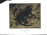 Nettleford collection catalogue limited Sleeping Dog by John Federick Herring