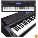 Casio Black Casio Touch Response Keys