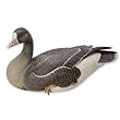 "Preening" White-Fronted Goose Sculpture