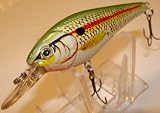 L 12 Shad Custom Lure Bass Fishing Plug Crankbait Shallow Diver 41xFyJy3hsL. SL160 L 12 Shad Custom Lure Bass Fishing Plug Crankbait Shallow Diver