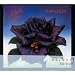 Black Rose
