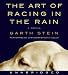 The Art of Racing in the Rain