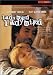 Ladybird Ladybird [ Australische Fassung, Keine Deutsche Sprache ]