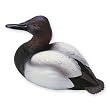Quarter Life-size Canvasback Drake Duck Decoy