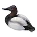 Quarter Life-size Canvasback Drake Duck Decoy