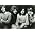 Thumbnail image of Led Zeppelin