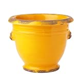 French Trocadero Collection Marigold Yellow Lion Head Cachepot
