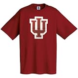 Indiana Hoosiers Logo Tech T-Shirt
