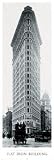 New York - Flat Iron Building Bettmann-Corbis 12x36