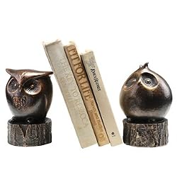 Wide Eyed Owl Bookends