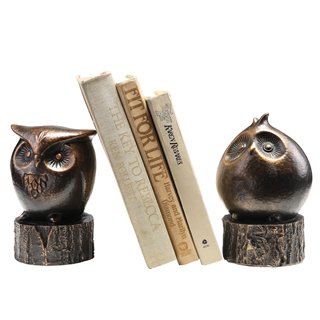 Wide Eyed Owl Bookends