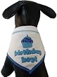 Birthday Boy Scarf - LARGE - by I SEE SPOT