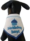 Birthday Boy Scarf - LARGE - by I SEE SPOT