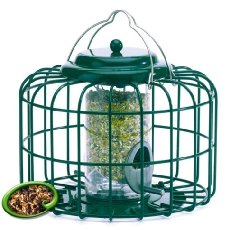 The Nuttery Squirrel Proof Mini Seed Feeder