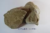 厳選・ ラジウム鉱石 (ニニギ石)500グラム オマケ付き(姫川薬石)