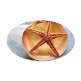 38.5x24.5O Wall Vinyl Sticker Sea Shell and a Starfish