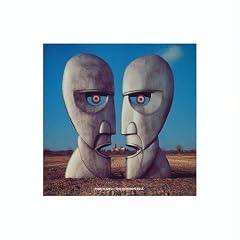 The Division Bell [Vinyl LP]