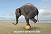 Elephant (Balance is the Key to Life) Art Poster Print - 24 X 36