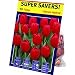 TotalGreen 72405200 Tulip Bulbs