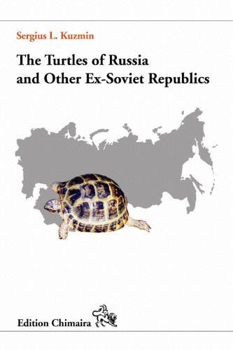 Turtles