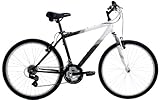Columbia Northway Comfort Bike, White/Gray/Black, 22-Inch Frame