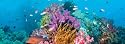 Heye 29402 - Panoramapuzzles 2000 Teile Coral Reef, Alexander von Humboldt