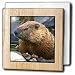 Wild animals - Groundhog - Tile Napkin Holders