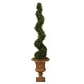 Tea Lead Spiral Faux Topiary in Urn - Green (5')