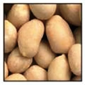 Fisher Jumbo Dry Roasted Peanuts No Salt, 40-Pound