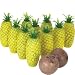 Toys : Island Bowling