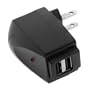 2-Port USB Home Travel Charger for Apple iPhone / iPod (Black)